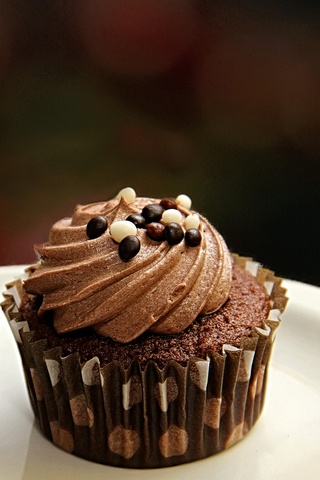 Chocolate Cupcake
